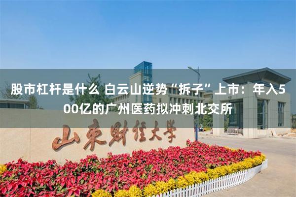 股市杠杆是什么 白云山逆势“拆子”上市：年入500亿的广州医药拟冲刺北交所