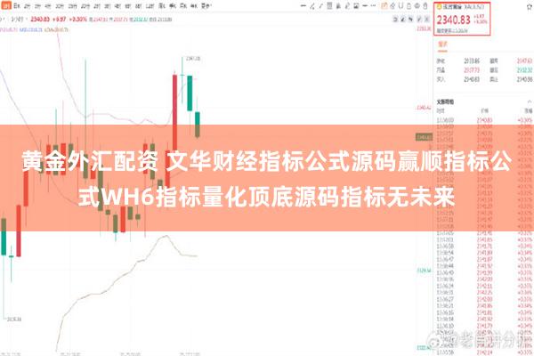 黄金外汇配资 文华财经指标公式源码赢顺指标公式WH6指标量化顶底源码指标无未来