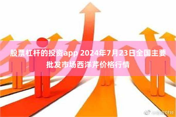 股票杠杆的投资app 2024年7月23日全国主要批发市场西洋芹价格行情