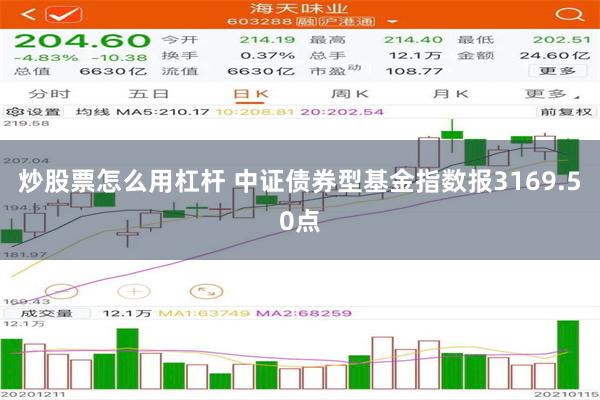 炒股票怎么用杠杆 中证债券型基金指数报3169.50点