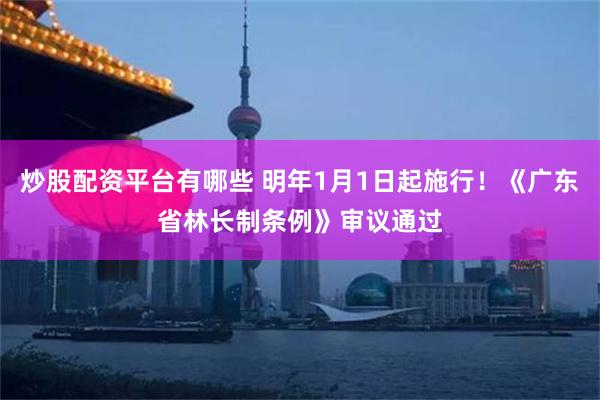 炒股配资平台有哪些 明年1月1日起施行！《广东省林长制条例》审议通过