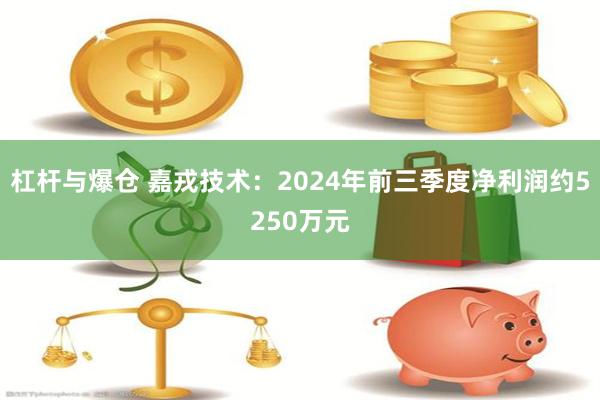 杠杆与爆仓 嘉戎技术：2024年前三季度净利润约5250万元