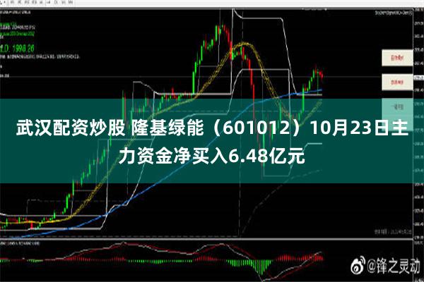 武汉配资炒股 隆基绿能（601012）10月23日主力资金净买入6.48亿元