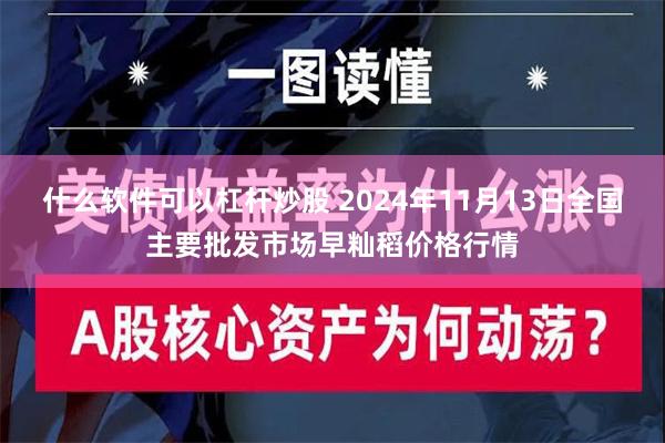 什么软件可以杠杆炒股 2024年11月13日全国主要批发市场早籼稻价格行情