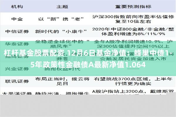 杠杆基金股票配资 12月6日基金净值：蜂巢中债1-5年政策性金融债A最新净值1.064