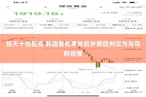 按天十倍配资 韩国客机事故初步原因判定为与鸟群相撞